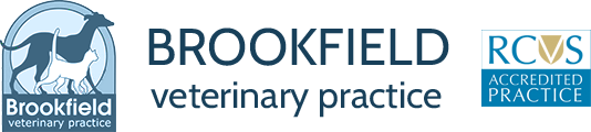 Brookfield Veterinary Practice