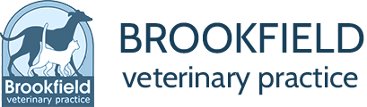 Visit Brookfield Veterinary Practice home page